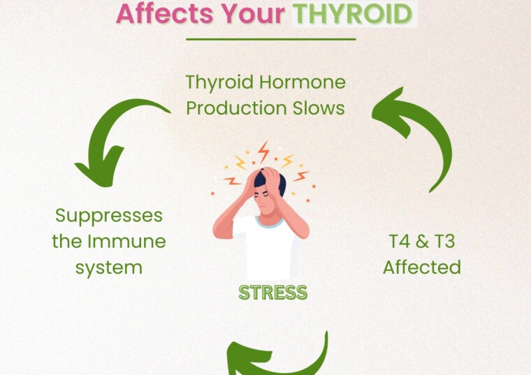 How Chronic Stress Affects Your Thyroid