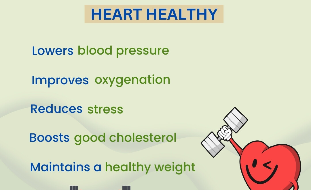 How Exercise Keeps Our Heart Healthy