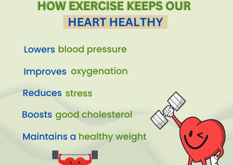 How Exercise Keeps Our Heart Healthy
