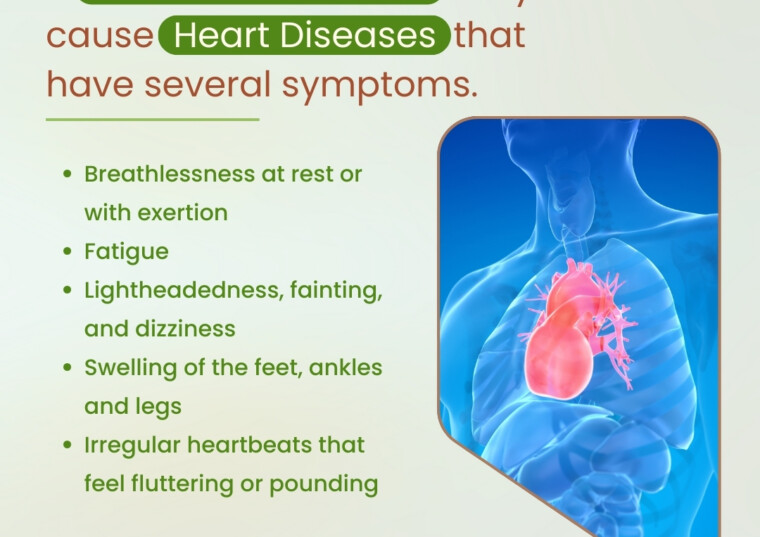 A Weak Heart Muscle May Cause Heart Diseases That Have Several Symptoms