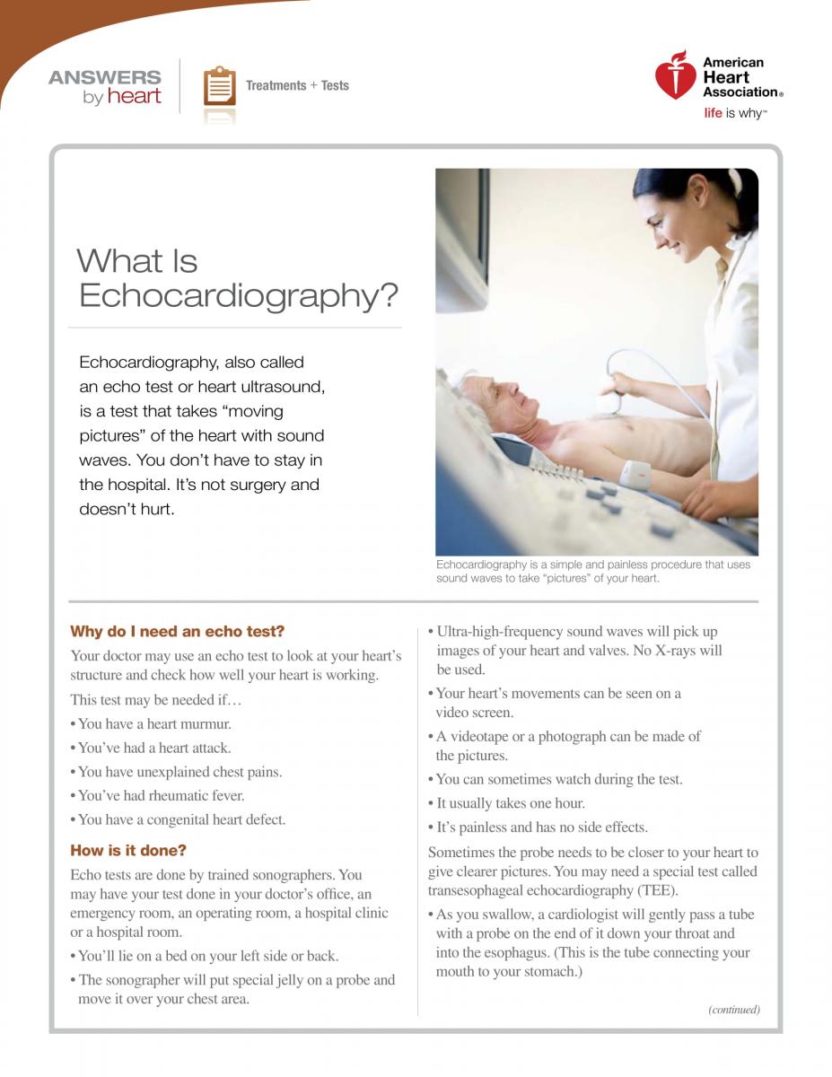 Echocardiogram watch online